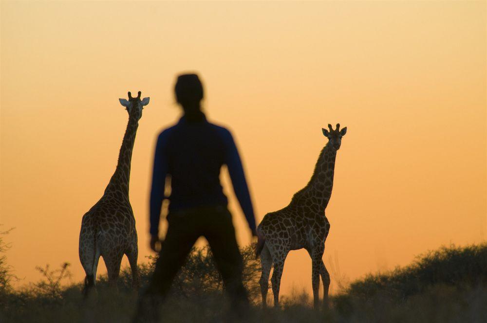 Kubu Safari Lodge Hoedspruit Exteriér fotografie